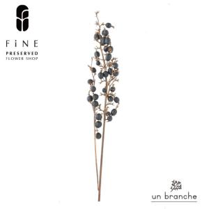 ブラックベリー ドライフラワー 花材 販売 小分け 手作り ハンドメイド 飾り インテリア リース 材料 【アンブランシュ】