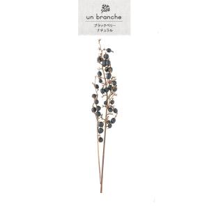 ブラックベリー ドライフラワー 花材 販売 小...の詳細画像1