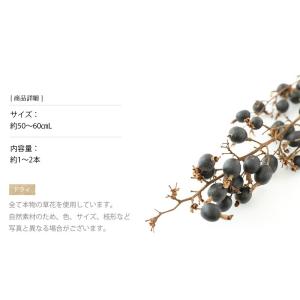 ブラックベリー ドライフラワー 花材 販売 小...の詳細画像2