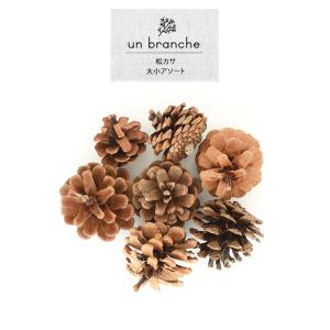 松カサ大小アソートドライフラワー 花材 販売 ...の詳細画像1