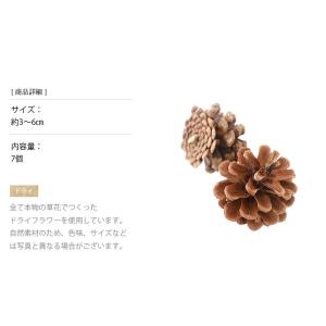 松カサ大小アソートドライフラワー 花材 販売 ...の詳細画像2