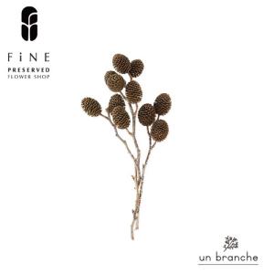 ヤシャブシ小枝 ドライフラワー 花材 販売 小分け 手作り ハンドメイド 飾り インテリア リース 材料 【アンブランシュ】