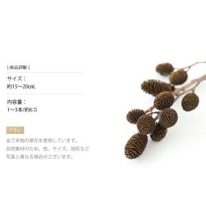 ヤシャブシ小枝 ドライフラワー 花材 販売 小...の詳細画像2