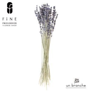 花材 ラベンダー・イタリー ドライフラワー 花材 販売 小分け 手作り ハンドメイド 飾り インテリア リース 材料 【アンブランシュ】
