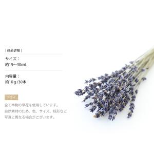 花材 ラベンダー・イタリー ドライフラワー 花...の詳細画像2