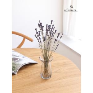 花材 ラベンダー・イタリー ドライフラワー 花...の詳細画像3