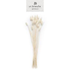 ポアプランツ 白 ドライフラワー 花材 販売 ...の詳細画像1