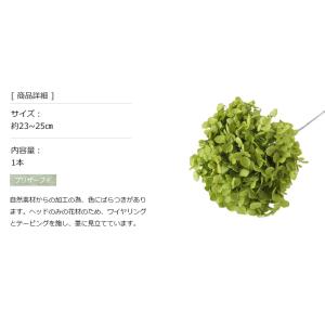 アナベル グリーン プリザーブドフラワー 花材...の詳細画像2