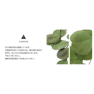 ポプルスパウダーグリーン プリザーブドフラワー...の詳細画像4