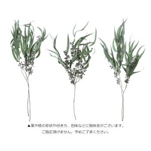ユーカリエキゾチカ パウダーグリーン プリザー...の詳細画像3