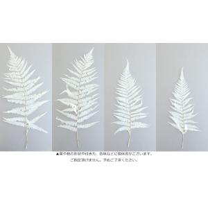 ナガシダ 白ドライフラワー 花材 販売 小分け...の詳細画像3