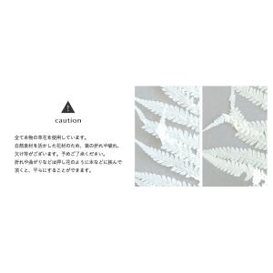 ナガシダ 白ドライフラワー 花材 販売 小分け...の詳細画像4