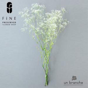 スーパーソフトミニ カスミ草フレア 白