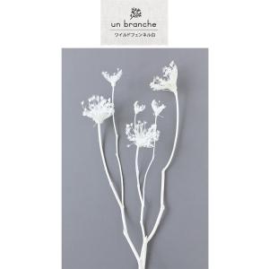ワイルドフェンネル 白 ドライフラワー 花材 ...の詳細画像1