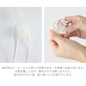 ワイルドフェンネル 白 ドライフラワー 花材 ...の詳細画像4