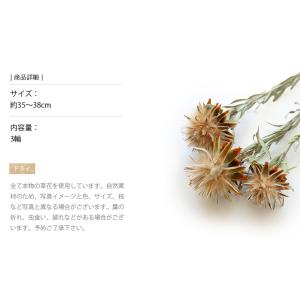 プルモサム ドライフラワー 花材 販売 小分け...の詳細画像2