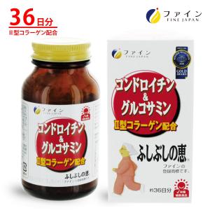 コンドロイチン&グルコサミン ふしぶしの恵 36日分(545粒)