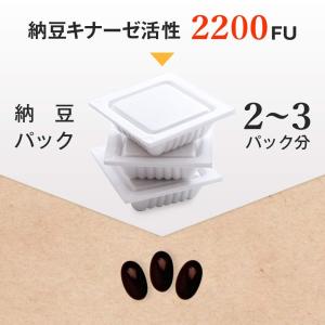 沖縄 もろみ+納豆キナーゼ 30日分(90粒入...の詳細画像4