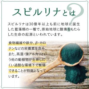 スーパーフード スピルリナ&乳酸菌×酵素 30...の詳細画像2