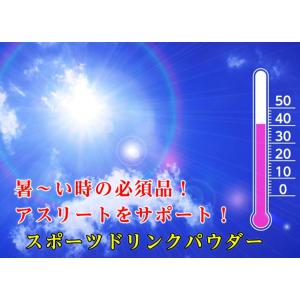 スポーツドリンク 粉末 33g×10包 8箱 ...の詳細画像1