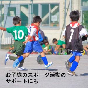 スポーツドリンク 粉末 33g×10包 8箱 ...の詳細画像3