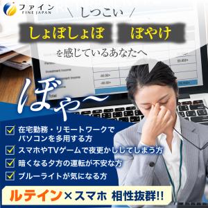 ファイン ひとみの恵 ルテイン40 ソフト 3...の詳細画像2