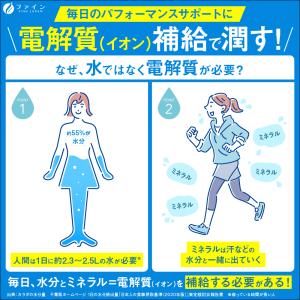 スポドリ イオンドリンク 33本入 500ml...の詳細画像4