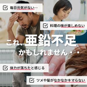 【定期初回クーポン配布中!〜4/19】亜鉛+マ...の詳細画像3