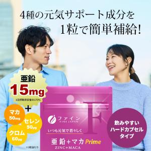 【定期初回クーポン配布中!〜4/19】亜鉛+マ...の詳細画像4