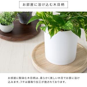キャスター付 プランタートレー 直径30cm ...の詳細画像2
