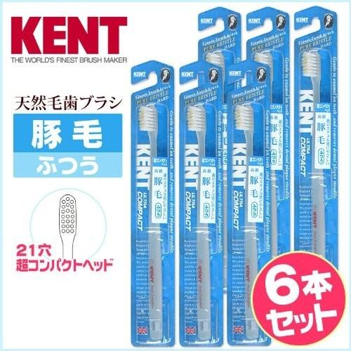 KENT 豚毛歯ブラシ ふつう  超コンパクトヘッド6本セット KNT-0233