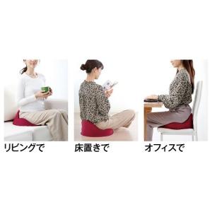 アルファックス 仙骨クッション 仙律 ルビーの詳細画像5