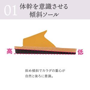 アルファックス (スリエット) Y-Type ...の詳細画像3