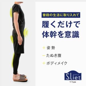 アルファックス (スリエット) Y-Type ...の詳細画像1