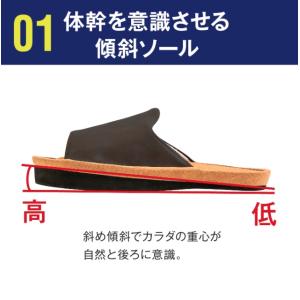 アルファックス (スリエット) Y-Type ...の詳細画像3