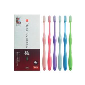 磨きやすい歯ブラシ 極 (ふつう) LT-53 (6本組)×1セット田辺重吉考案