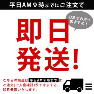 決算SALE 即納 ウェーダー 胴長 ナイロン...の詳細画像1