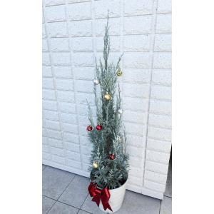 【クリスマスツリー白い鉢入り】コニファー ウイッ...の商品画像