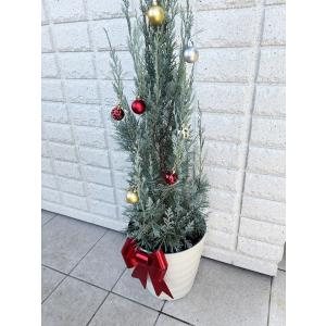【クリスマスツリー白い鉢入り】コニファー ウイ...の詳細画像1