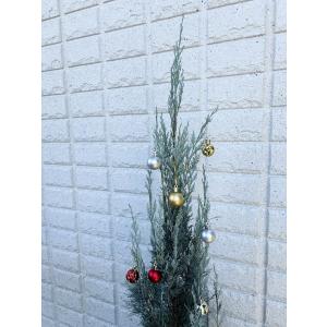 【クリスマスツリー白い鉢入り】コニファー ウイ...の詳細画像2
