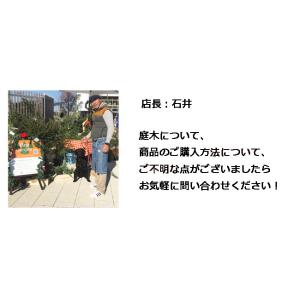 ゴールドライダー4本セット 80〜100cm【...の詳細画像5