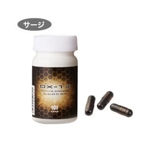 インヴェル Biio Pad バイオ パッド Invel : イイコレマーケット