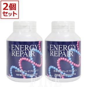 【2個セット】ファイナルフューチャー　エナジーリペア　Energy　Repair　180粒×2個　賞味期限：2024年11月