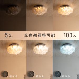 シーリングライト LED ~6畳 リモコン付 ...の詳細画像4