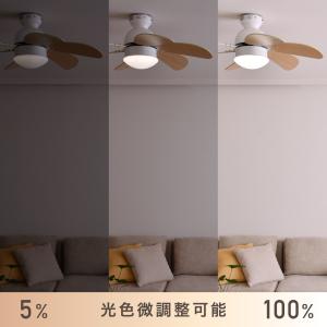 シーリングファン ライト リモコン付き DCモ...の詳細画像1
