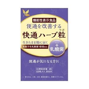 モテマスリム 120粒(配送区分:A2) : フォーモスト - 通販 - Yahoo