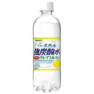 「日本サンガリア」　伊賀の天然水強炭酸水　グレープフルーツ　500ml×24本(1ケース)　【使用期...