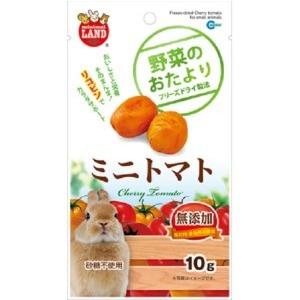 「マルカン」 野菜のおたより ミニトマト 10g 「日用品」