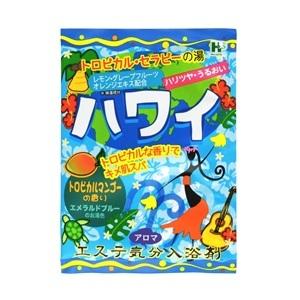 バスマグ BATH MAG 家庭用入浴用品 マグネシウム 約1年間使用 マグ