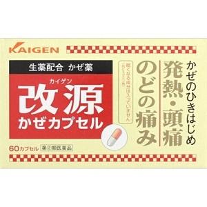 改源かぜカプセルの商品画像